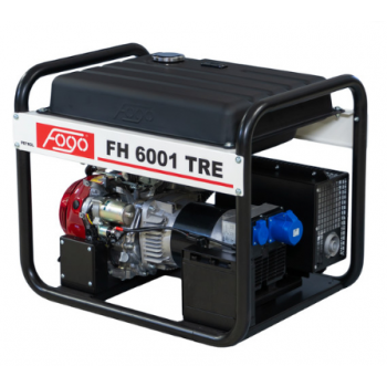 AGREGAT PRĄDOTWÓRCZY FH 6001 / T /  TE / R / TR / TRE / TRA / CRA